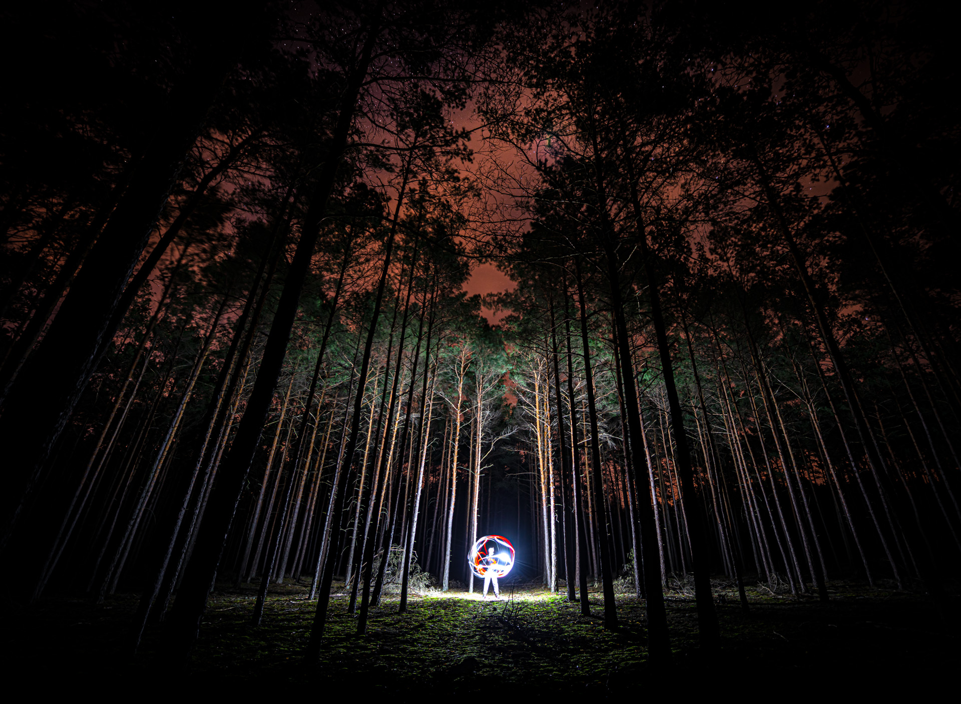 las w nocy